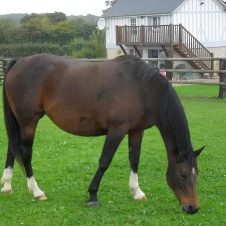 Haras Du Bottray Prázdninový dům Mézidon-Canon
