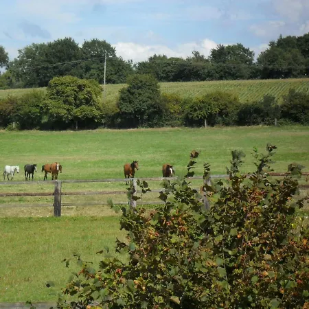 Haras Du Bottray